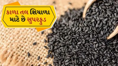 લીલા શાકભાજી અને મોસમી ફળોની સાથે તલ શિયાળાના આહારમાં મુખ્ય ખોરાક છે. આ ઋતુ દરમિયાન તહેવારો દરમિયાન તલ અને ગોળમાંથી બનાવેલી ચીક્કી, લાડુ વગેરે બનાવવાની અને ખાવાની પરંપરા છે. આ સમય દરમિયાન સોશિયલ મીડિયા પર સ્ક્રોલ કરતી વખતે તમને તલની વાનગીઓ અથવા ફાયદાઓનું વર્ણન કરતા ઘણા વીડિયો મળશે. 
