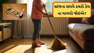 સાંજના સમયે કચરો કેમ ના વાળવો જોઈએ? જાણો વાસ્તુ શું કહે છે