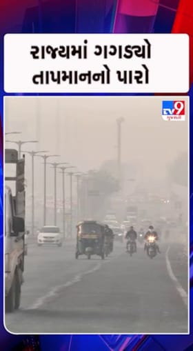 ઉત્તરથી ઠંડા પવનો ફૂંકાતા શીત લહેર