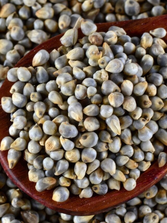 શિયાળામાં બાજરીના લોટથી બનાવો આ 5 સ્વાદિષ્ટ અને હેલ્ધી વાનગીઓ