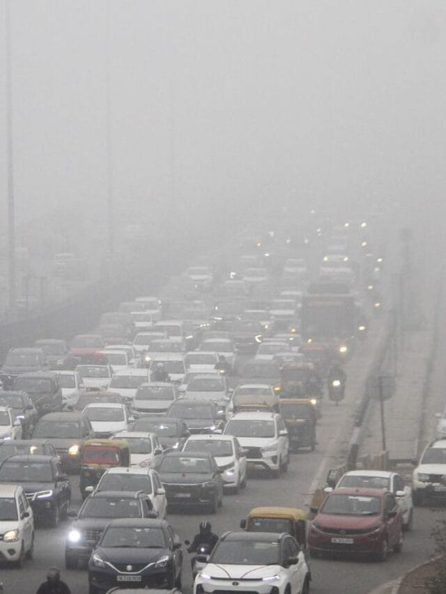 શિયાળામાં સવારે ધુમ્મસ હોય તો, વાહન ચલાવતી વખતે આ ધ્યાન રાખો