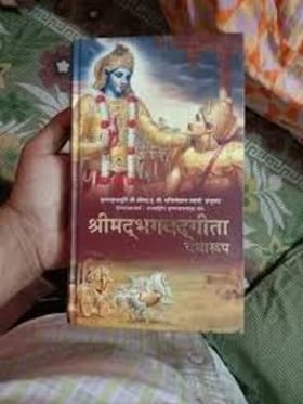 શું શ્રીમદ્ ભગવદ્ ગીતા અને શ્રીમદ્ભાગવદ અલગ છે? જાણો આજે તફાવત