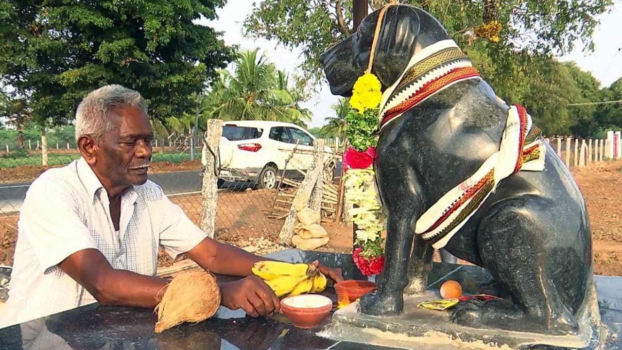 ભારત ઘણા અનોખા મંદિરોનું ઘર છે. ભક્તો દેવતાઓની પૂજા કરે છે, પરંતુ અમે તમને એક એવા અસામાન્ય મંદિર વિશે જણાવી રહ્યા છીએ જ્યાં દેવતાઓની જગ્યાએ કૂતરાઓની પૂજા કરવામાં આવે છે.