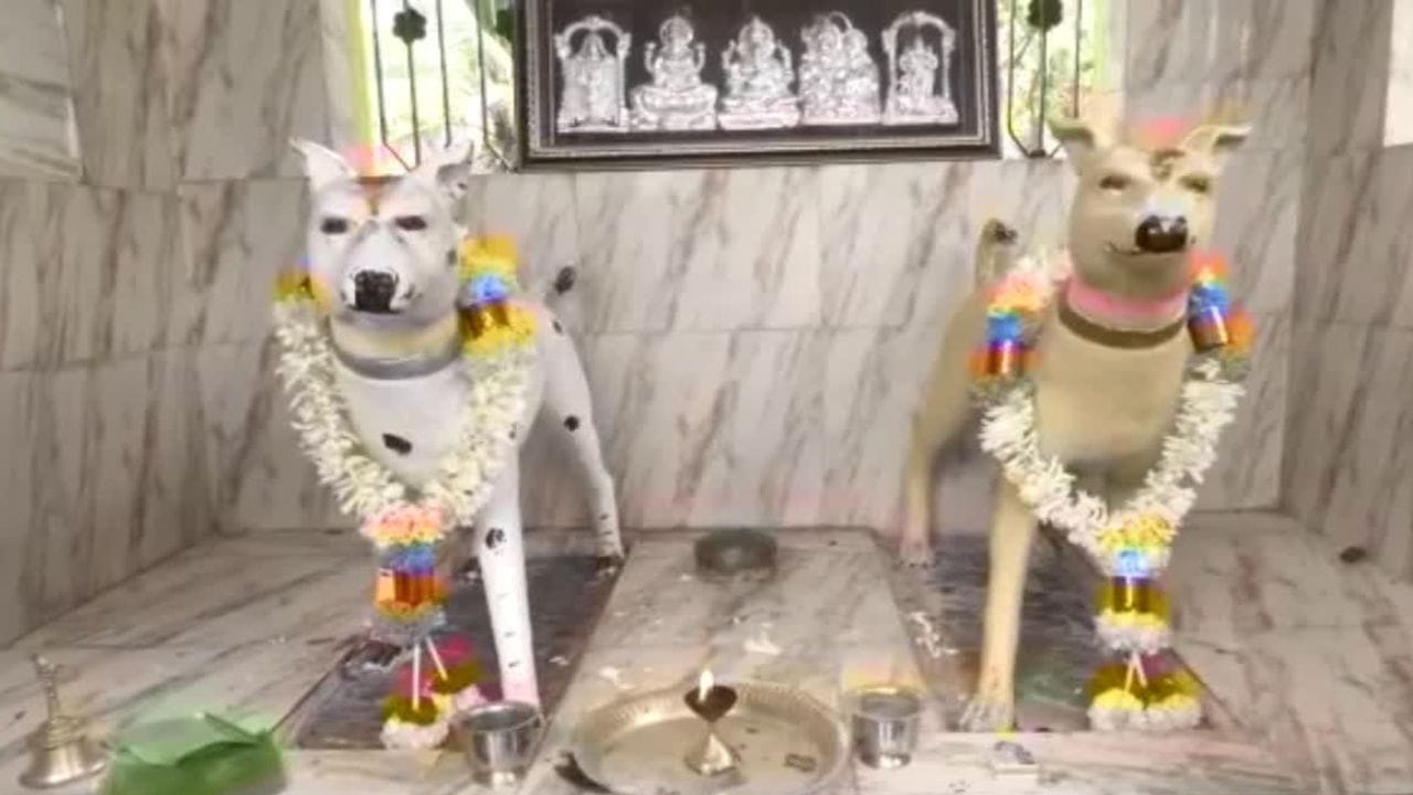 આ અનોખું કૂતરાનું મંદિર કર્ણાટકના ચન્નાપટના શહેરના અગ્રહાર વાલાગેરેહલ્લી ગામમાં આવેલું છે. આ મંદિરને નાઈ દેવસ્થાનમ કહેવામાં આવે છે, જેનો કન્નડમાં અર્થ "નાઈ" થાય છે. મંદિરમાં કૂતરાઓની મૂર્તિઓ સ્થાપિત છે.