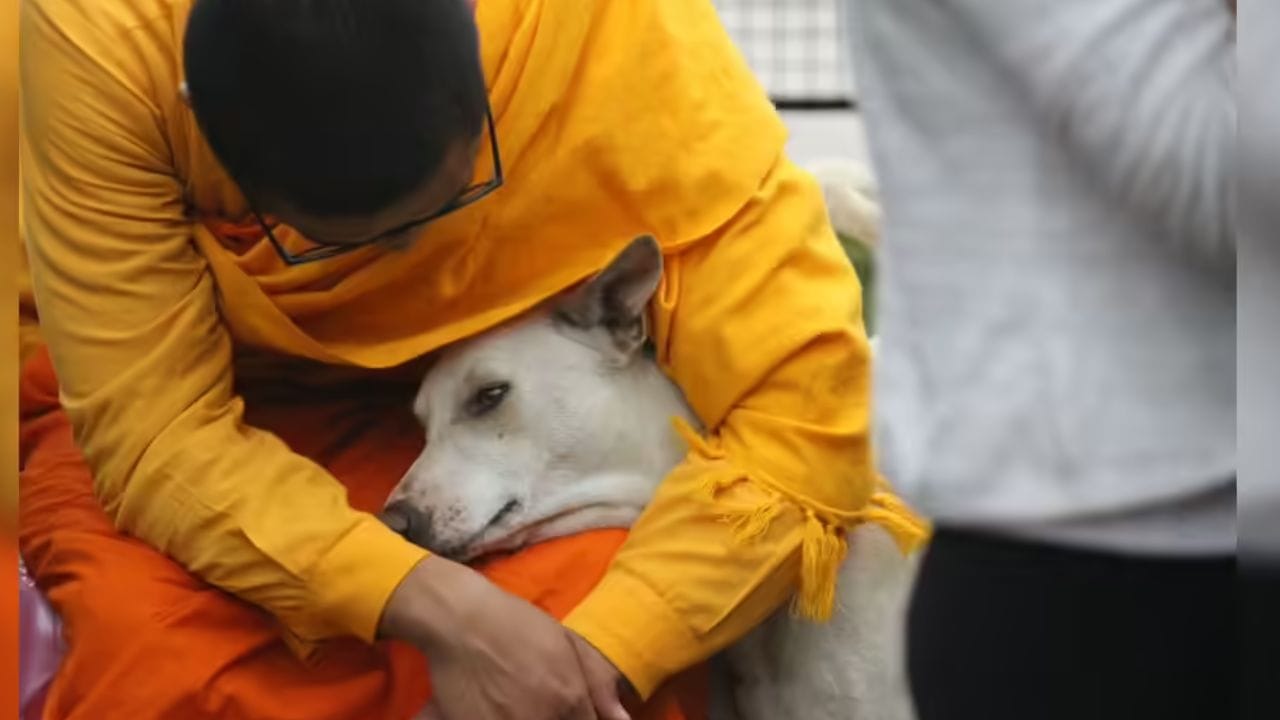 એવું કહેવાય છે કે દેવી એક ગ્રામજનોના સ્વપ્નમાં દેખાયા અને તેમને ત્યાં કૂતરાઓ લાવવા કહ્યું, પરંતુ ઘણી શોધખોળ કરવા છતાં, તેઓ મળ્યા નહીં. પરિણામે, ગ્રામજનોએ ત્યાં કૂતરાઓની મૂર્તિઓ સ્થાપિત કરી અને તેમની પૂજા કરવાનું શરૂ કર્યું.