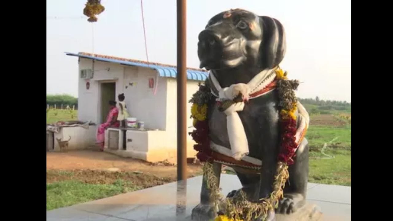 એવું માનવામાં આવે છે કે જે કોઈ અહીં આવીને કૂતરાઓની પૂજા કરે છે તેને તેમની બધી મુશ્કેલીઓમાંથી મુક્તિ મળશે. ખાસ કરીને જો કોઈ ચોરીનો ભોગ બન્યું હોય તો ગુનેગાર સજાથી બચી શકશે નહીં. એવું માનવામાં આવે છે કે આ કૂતરાઓ ગામને નકારાત્મકતાથી બચાવે છે અને બચાવે છે.