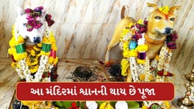 ભારતના આ મંદિરમાં ભગવાનની નહીં પણ શ્વાનની થાય છે પૂજા, રસપ્રદ છે કારણ