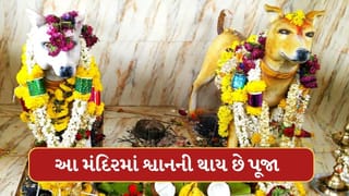ભારતના આ મંદિરમાં ભગવાનની નહીં પણ શ્વાનની થાય છે પૂજા, રસપ્રદ છે કારણ