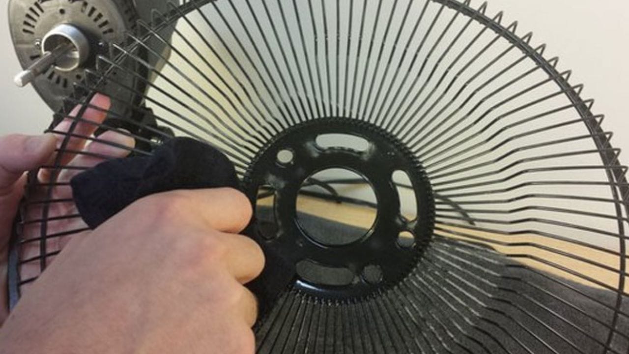 ટેબલ ફેન કેવી રીતે સાફ કરવો: ટેબલ ફેન સાફ કરતા પહેલા ખાતરી કરો કે તે સ્વીચમાં પ્લગ થયેલ છે કે નહીં. કારણ કે સલામતી ખૂબ જ મહત્વપૂર્ણ છે. તેથી તેને પાવર સ્ત્રોતથી ડિસ્કનેક્ટ કરો. પછી પંખો ખોલવાનો અને તેની આસપાસની જાળી દૂર કરવાનો પ્રયાસ કરો. એક વાસણમાં હૂંફાળું પાણી અને સફેદ વિનેગર મિક્સ કરો. તેમાં માઇક્રોફાઇબર કાપડ ડુબાડો અને તેને થોડીવાર રહેવા દો.
