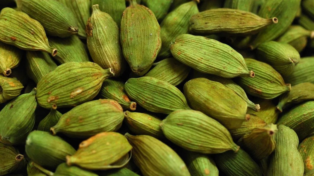 નિયમિત એલચી ખાવાથી બ્લડ સુગરનું સ્તર સંતુલિત રાખવામાં મદદ કરે છે.
