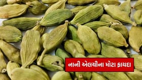રાત્રે સૂતા પહેલા ફક્ત એક એલચી ખાવાના ફાયદા જાણી ચોંકી જશો
