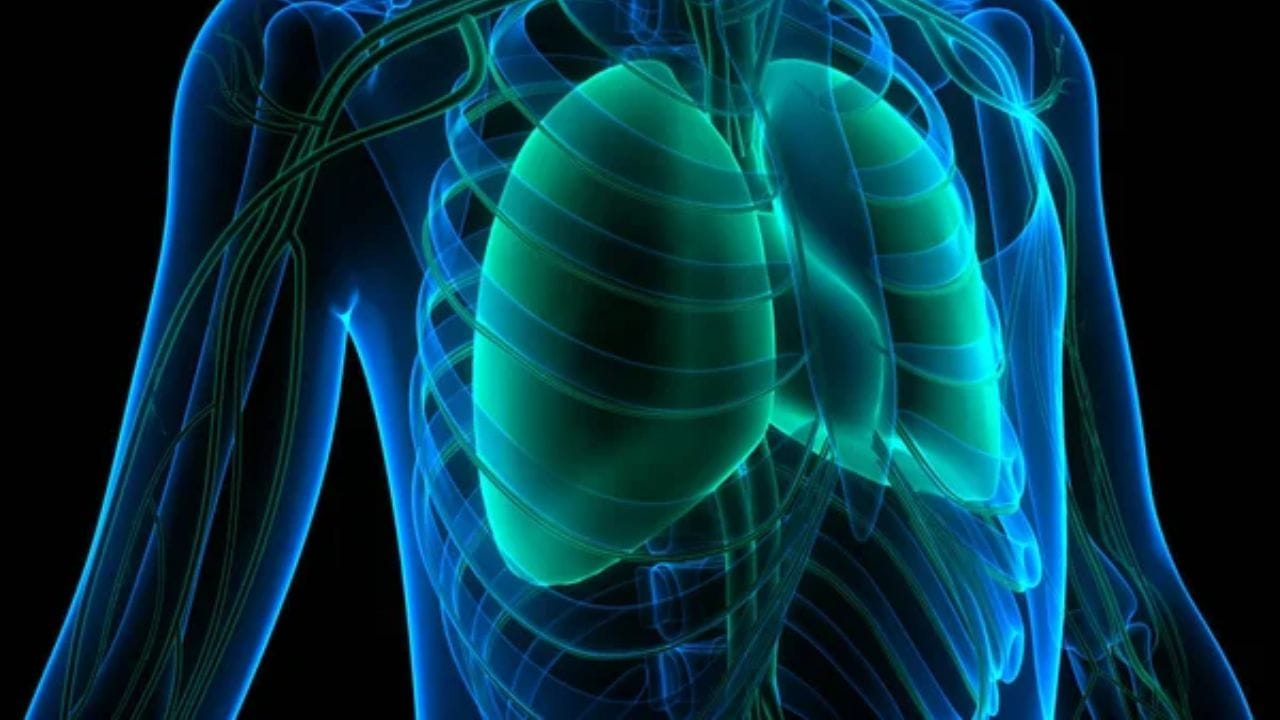 foods for lung health