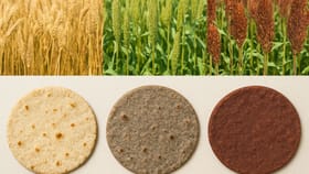 કઈ રોટલી ખાવાથી સૌથી વધુ પ્રોટીન મળે? જાણો તેના વિશે....