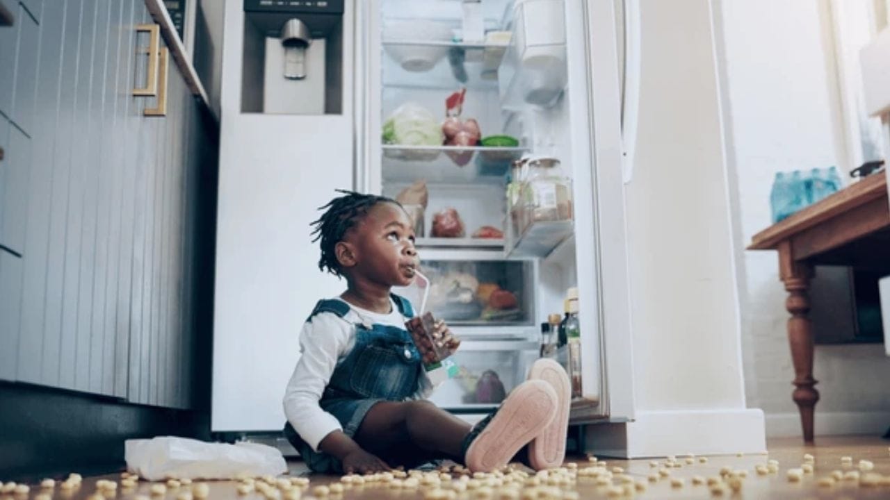 તે સલામતી પણ પૂરી પાડે: ઉપર જણાવેલ ફાયદાઓ ઉપરાંત, રેફ્રિજરેટર લોક સલામતી પણ પૂરી પાડે છે. જો તમારા ઘરે બાળકો હોય, તો રેફ્રિજરેટરનો દરવાજો ખુલ્લો રાખવો ખતરનાક બની શકે છે. વધુમાં, બાળકો વારંવાર રેફ્રિજરેટરનો દરવાજો ખોલી શકે છે, જેના કારણે ઠંડક ગુમાવે છે અને કોમ્પ્રેસર પરનો ભાર વધે છે. તેથી, સલામતી રેફ્રિજરેટરને લોક કરવાનું એક મુખ્ય કારણ છે.