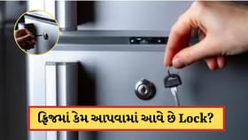 ફ્રિજમાં કેમ આપવામાં આવે છે Lock? 99% લોકો નથી જાણતા સત્ય