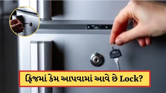 ફ્રિજમાં કેમ આપવામાં આવે છે Lock? 99% લોકો નથી જાણતા સત્ય