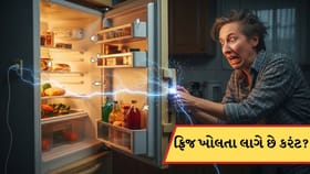 ફ્રિજ ખોલતા અને બંધ કરતા લાગે છે ઈલેક્ટ્રિક ઝટકો? જાણો કારણ