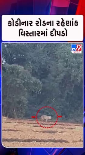 દીપડાને લઈને ગામ લોકોમાં ભયનો માહોલ