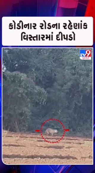 દીપડાને લઈને ગામ લોકોમાં ભયનો માહોલ