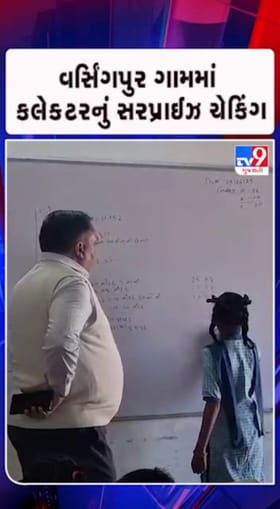 લાલિયાવાડી જોઈ બગડ્યા કલેક્ટર