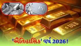 'વર્ષ 2026' સોના માટે અદભૂત, ચાંદી અને પ્લેટિનમના ભાવ પણ ઉછળશે