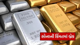 સતત વધારા પછી આજે ભાવમાં ઘટાડો, જાણો નવો ભાવ