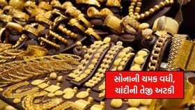6 દિવસની તેજી પછી ચાંદી ₹460 ઘટી, સોનાના ભાવમાં કેમ આવ્યો જંગી ઉછાળો?