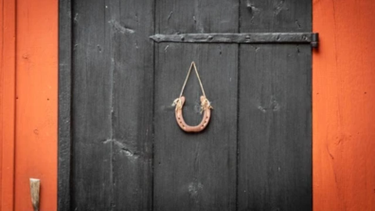 શનિવારનું મહત્વ: શનિવારે કાળા ઘોડાની નાળ મૂકવાથી શનિ ભગવાન પ્રસન્ન થાય છે અને શનિ દોષ (સાડે સતી/ધૈયા) થી રાહત મળે છે. આવી નાળ ન રાખો: ક્યારેય તૂટેલી, કાટ લાગેલી કે નકલી ઘોડાની નાળનો ઉપયોગ ન કરો. તેની નકારાત્મક અસરો થઈ શકે છે.