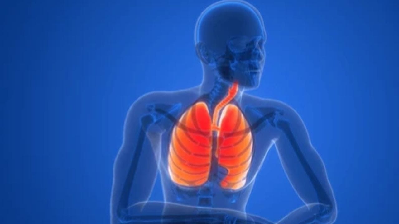 healthy lungs pollution