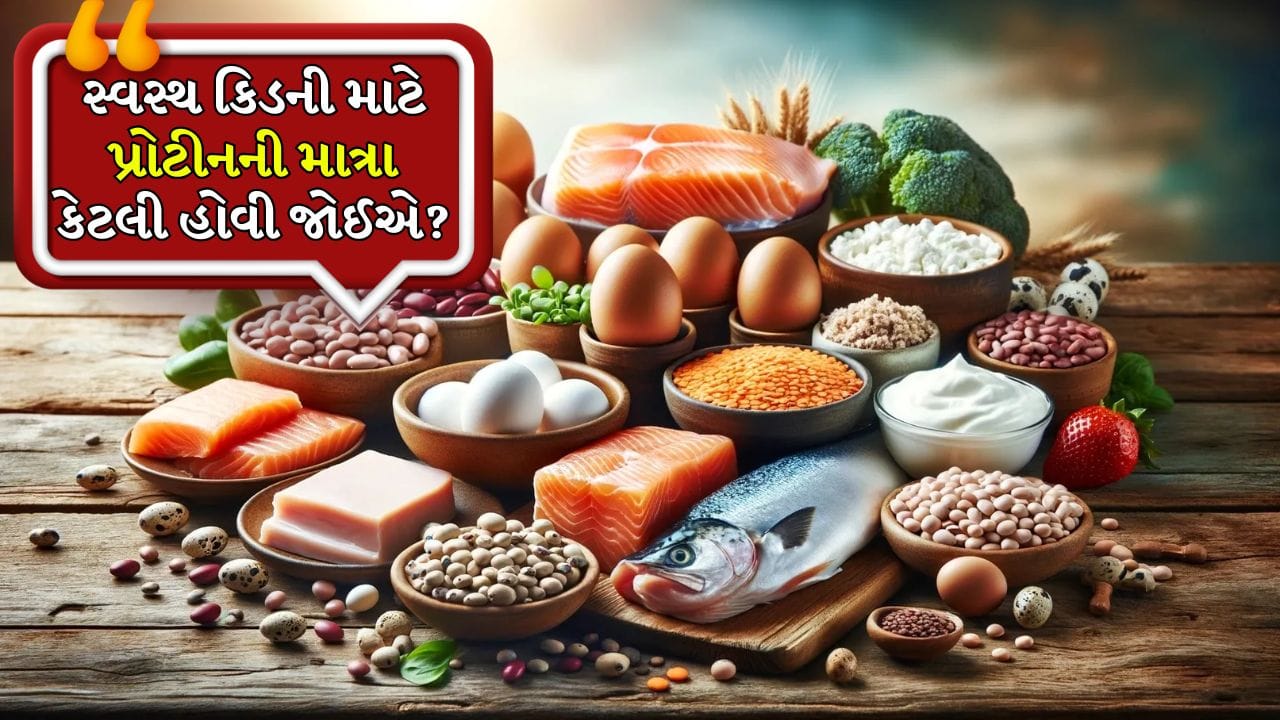 ફિટ રહેવા અને બોડી બનાવવા માટે, ઘણા લોકો હાઈ પ્રોટીન આહાર અપનાવી રહ્યા છે. ખાસ કરીને જેઓ જીમમાં જાય છે અને કસરત કરે છે તેઓ ઘણીવાર પ્રોટીનયુક્ત ખોરાક અને બોડી-બિલ્ડિંગ સપ્લિમેન્ટ્સનું સેવન કરે છે. 
