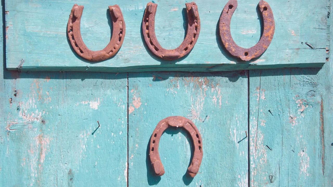 વાસ્તુ શાસ્ત્ર અનુસાર, તેને ઘરના મુખ્ય પ્રવેશદ્વાર પર રાખવાથી નકારાત્મક ઉર્જા, ખરાબ નજર અને વાસ્તુ દોષ દૂર થાય છે. વાસ્તુ શાસ્ત્ર અનુસાર ઘરમાં ઘોડાની નાળ રાખવાથી વ્યક્તિને સફળતા અને સમૃદ્ધિ મળે છે.