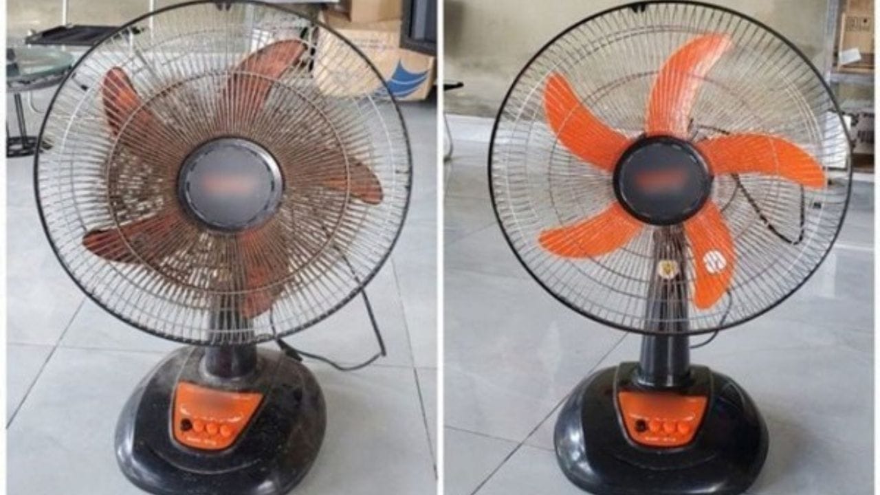 ડિગ્રેઝરનો ઉપયોગ કરો: થોડા સમય પછી જ્યારે તમે આ બધા ભાગોને અંદર પાછા લાવો, ત્યારે પંખાને પેક કરતાં પહેલા તેને સ્વચ્છ કપડાંથી સાફ કરો. તમે તમારા પંખાને તેલ પણ લગાવી શકો છો. જો તમારા પંખામાં ઘણી બધી ગંદકી ચોંટી ગઈ હોય અને તે નીકળી ન રહી હોય તો તમે ડિગ્રેઝરનો ઉપયોગ કરી શકો છો.
