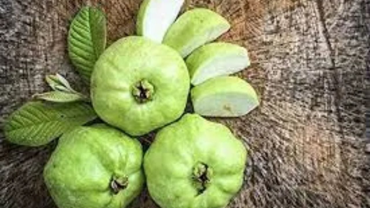 ડાયાબિટીસના દર્દીઓ માટે જામફળ દવા છે. તેમાં ગ્લાયકેમિક ઇન્ડેક્સ (GI) ઓછો હોય છે અને તેમાં ફાઇબરનું પ્રમાણ વધુ હોય છે. આ ગુણધર્મ બ્લડ સુગરના સ્તરને અચાનક વધતા અટકાવે છે. જામફળ ખાવાથી શરીરમાં ગ્લુકોઝનું શોષણ ધીમું થાય છે, જે ડાયાબિટીસને નિયંત્રિત કરવામાં મદદ કરે છે.