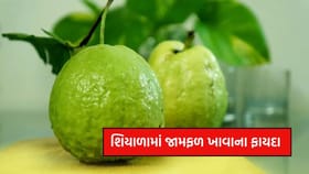 શિયાળામાં જામફળ ખાશો તો ડૉક્ટરથી દુર રહેશો! જાણો 10 ફાયદા