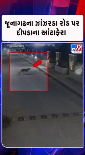 દીપડાના CCTV ફૂટેજ આવ્યા સામે