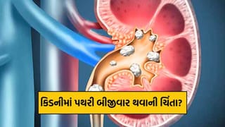 Health Tips : કિડનીમાં પથરી ફરી થવાની ચિંતા? તેને રોકવા માટેના 4 સરળ અને અસરકારક જીવનશૈલી ફેરફારો કરો