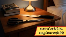 બેડરૂમમાં કેમ ભૂલથી પણ ના રાખવી જોઈએ કાતર અને છરી? જાણો વાસ્તુ નિયમ