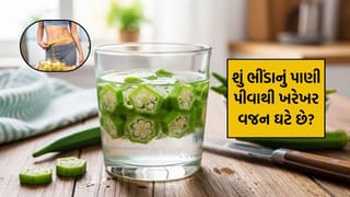 શું ભીંડાનું પાણી પીવાથી ખરેખર વજન ઘટે છે ? જાણો સોશિયલ મીડિયાના દાવા પાછળનું સત્ય