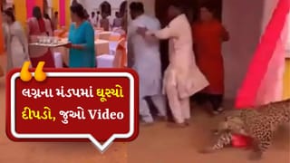 Viral Video: લગ્નના મંડપમાં ઘુસી ગયો જંગલનો શિકારી, દીપડાએ આતંક મચાવ્યો, એક ક્ષણની ખુશી ભયમાં ફેરવાઈ ગઈ!