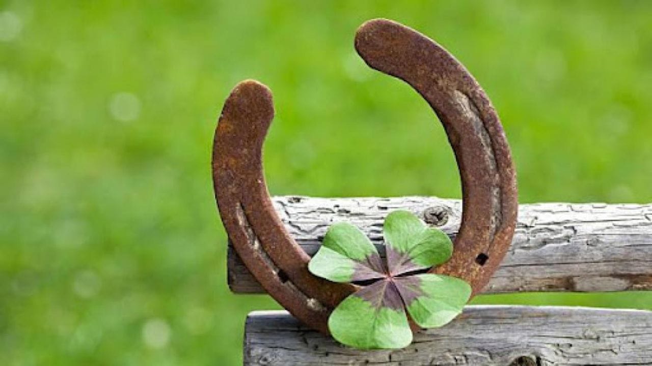 ઘોડાની નાળ મૂકવાના નિયમો: દિશા: ઘોડાની નાળને મુખ્ય દરવાજાની ફ્રેમની ઉપર (બહારની તરફ) રાખો. તેને ઉત્તર, પશ્ચિમ અથવા વાયવ્ય દિશામાં રાખવું શુભ છે. ઘોડાની નાળને પૂર્વ કે દક્ષિણપૂર્વ દિશામાં રાખવાનું ટાળો. આકાર અને સ્થિતિ: સારા નસીબને લાવવા માટે ઘોડાની નાળને હંમેશા U-આકારમાં રાખો. તેને ઉપરથી ખુલ્લું રાખવું જોઈએ. (ઉપરનો ભાગ ઉપરની તરફ રાખીને).