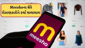 મીશોનો શેર બન્યો મલ્ટીબેગર, 7 દિવસમાં રોકાણકારોને કર્યા માલામાલ