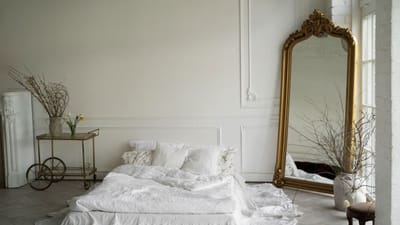 આજકાલ તમારા ઘરમાં અરીસા લગાવવા એ સજાવટ અને સુવિધાનો એક સામાન્ય ભાગ છે, પરંતુ વાસ્તુ શાસ્ત્રમાં, અરીસાઓને ફક્ત વસ્તુઓ તરીકે જ નહીં પરંતુ ઉર્જાના શક્તિશાળી સ્ત્રોત તરીકે જોવામાં આવે છે. વાસ્તુ અનુસાર, અરીસાઓ તેમની આસપાસની ઉર્જાને પ્રતિબિંબિત કરે છે અને વિસ્તૃત કરે છે. તેથી, જો ઘરમાં સકારાત્મક ઉર્જા હોય, તો તે તેને વધારશે, અને જો નકારાત્મક ઉર્જા હોય, તો તે તેને વિસ્તૃત પણ કરી શકે છે. આ જ કારણ છે કે તમારા ઘરમાં અરીસાઓની સંખ્યા, સ્થાન અને કદ પર ખાસ ધ્યાન આપવું મહત્વપૂર્ણ છે.