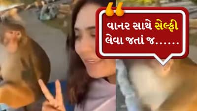હજી એક વધુ સેલ્ફી લઈ લે...વાનર સાથે સેલ્ફી લઈ રહી હતી પાપાની પરી, પછી થયું કંઈક આવું કે તમે હસીને લોટપોટ થઈ જશો