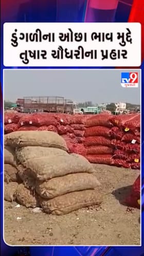 તંત્રની નિષ્ફળતાના લીધે ડુંગળીના યોગ્ય ભાવ મળતા નથી-તુષાર ચૌધરીનો આરોપ