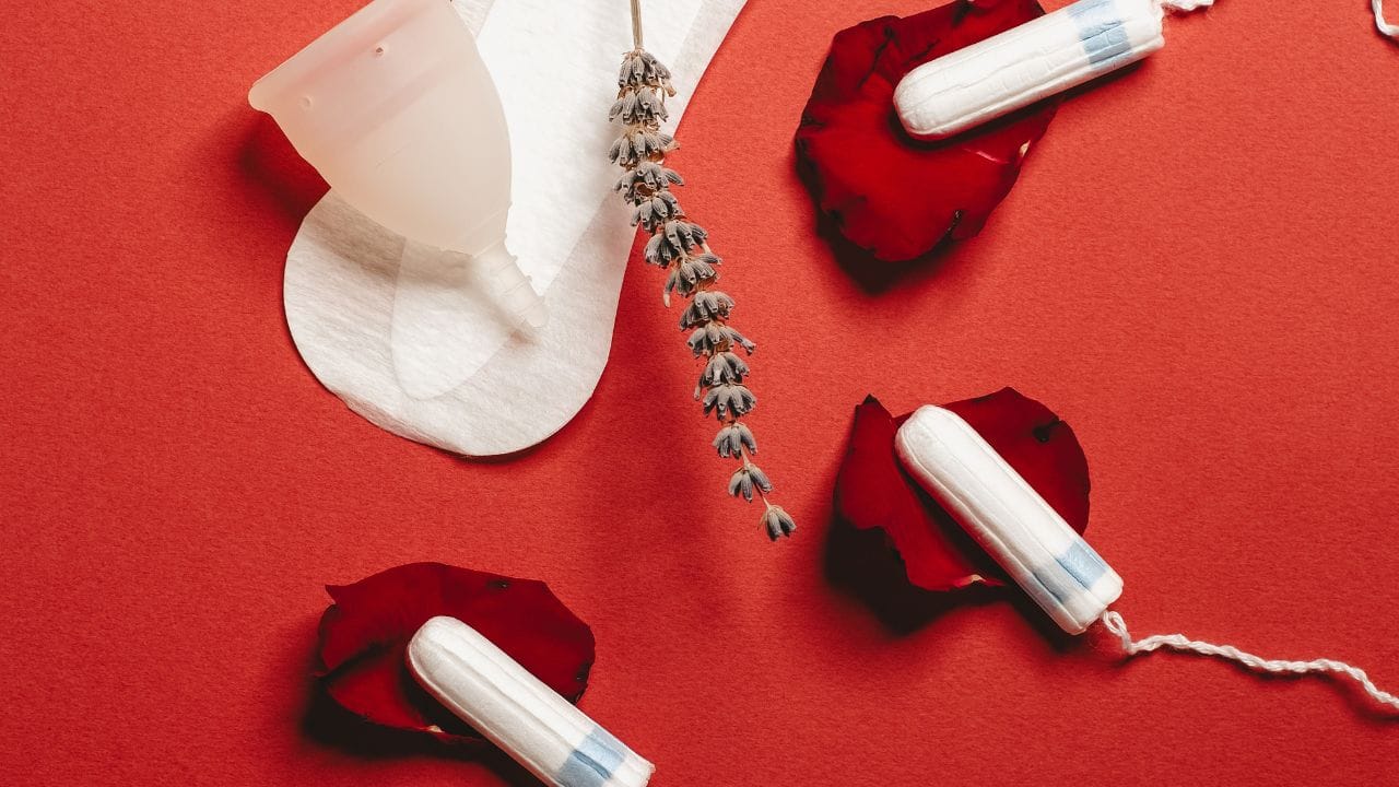 નોંધ : અહીં આપવામાં આવેલી માહિતી ફક્ત આપની જાણકારી માટે છે. કોઈ પણ ઈલાજ કરતાં પહેલા કે,અમલમાં લેતા પહેલા નિષ્ણાતોની સલાહ લેવી જરુરી છે. ( all photo:canva)