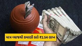માત્ર વ્યાજથી કમાણી કરો ₹2.54 લાખ, જાણો સંપૂર્ણ ગણતરી!