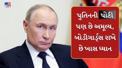 વ્લાદિમીર પુતિનની પોટી પણ છે ખૂબ કિંમતી ! વિદેશમાં પુતીનનો એક વાળ પણ છોડવામાં આવતો નથી, જાણો શું છે કારણ