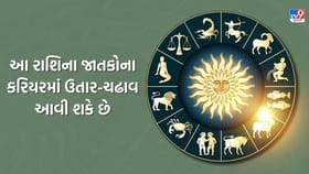 આ રાશિના જાતકોના કરિયરમાં ઉતાર-ચઢાવ આવી શકે છે, ઉતાવળમાં નિર્ણય ન લેવા