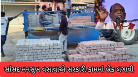 સાંસદ મનસુખ વસાવાએ સરકારી કામ અટકાવ્યું !