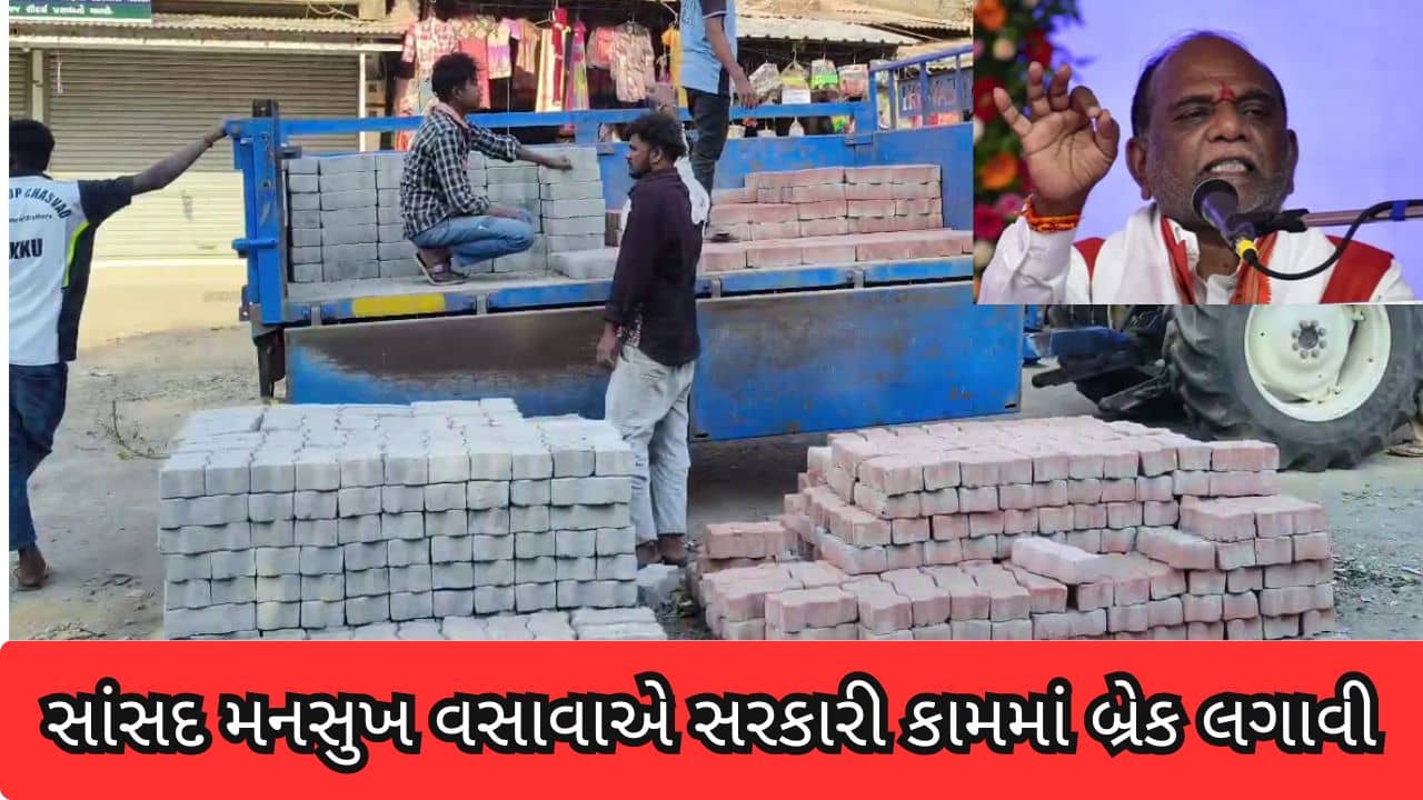 Bharuch : સાંસદ મનસુખ વસાવા ફરી આકરા પાણીએ!, પેવર બ્લોકના સરકારી કામમાં ખામી દેખાતાં બ્રેક લગાવી – જુઓ Video